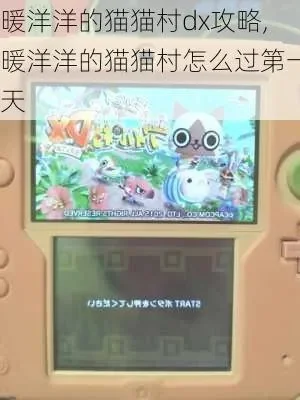 暖洋洋的猫猫村G攻略全解析