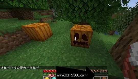 我的世界南瓜种植与南瓜头制作全攻略