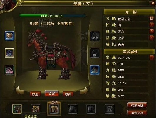 御龙在天马匹练化与升级攻略详解