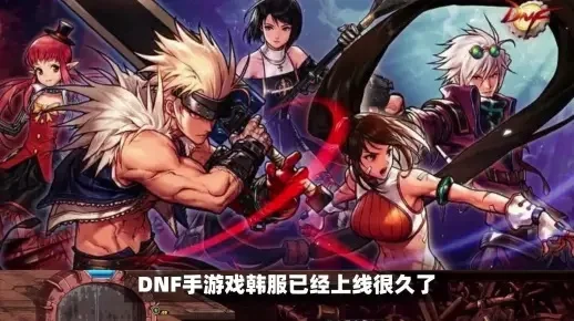 dnf手游如何转中文-DNF手游转中文教程