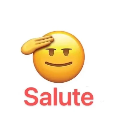 SALUTE是什么意思-游戏SALUTE含义解析
