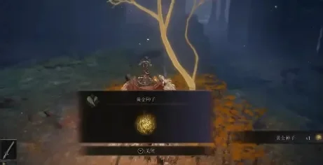 范达尔的种子袋绝版-艾尔登法环绝版种子袋