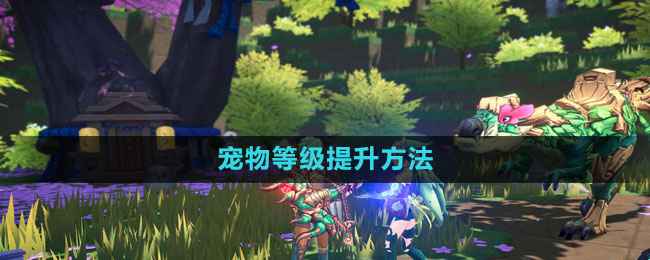 《我的起源》宠物等级怎么快速提升