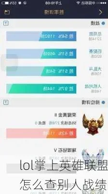 掌上英雄联盟怎么查询别人的战绩-掌上英雄查询战绩