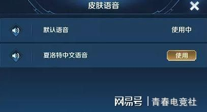王者荣耀夏洛特语音包设置教程