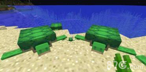 《我的世界》海龟能驯服吗？探索海龟的特性与实用价值