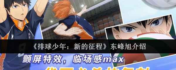 《排球少年：新的征程》东峰旭深度解析：强攻与隐身的战术奥秘
