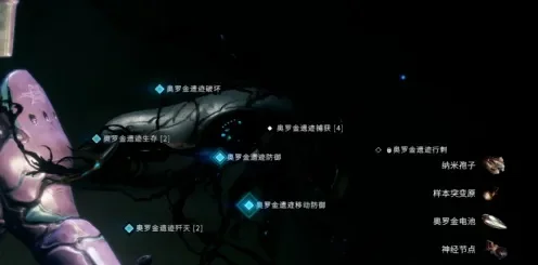 星际战甲神经节点-星际战甲节点解析