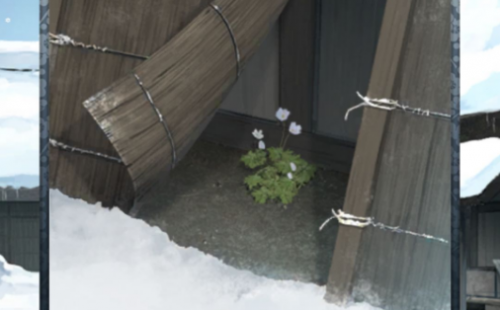 忘雪第七关通关全攻略