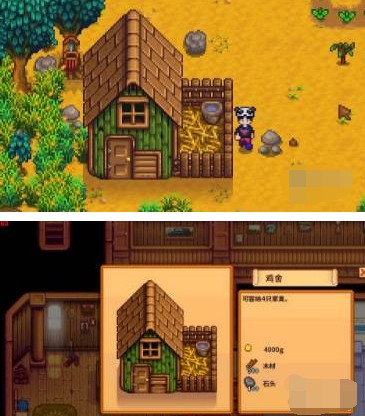 星露谷物语养鸡全攻略：从准备到日常照顾的详细指南