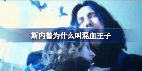 斯内普的混血王子之谜：血统、称号与悲剧人生的解读