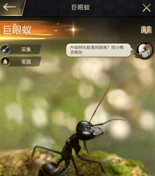 小小蚁国最强特化蚁大揭秘
