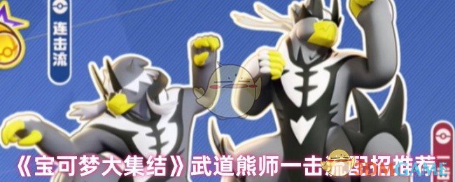 宝可梦武道熊师一击流配招全攻略
