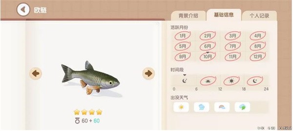 心动小镇欧鲢钓鱼全攻略：轻松掌握高效钓法