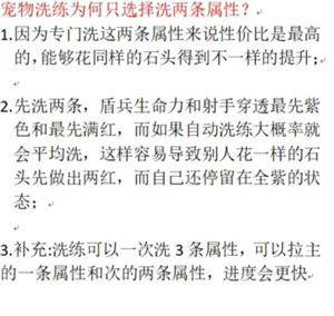 无尽冬日宠物培养全攻略：升级顺序与洗练心得