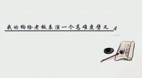抖个大包袱造个句通关全解：脑洞大开的完美攻略