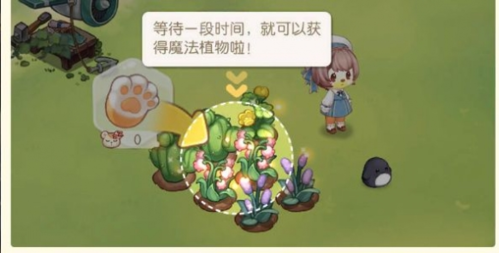 奥比岛魔法植物获取攻略：简单步骤助你轻松获得