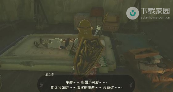 塞尔达传说王国之泪旅店老板失踪事件全解析及解决步骤