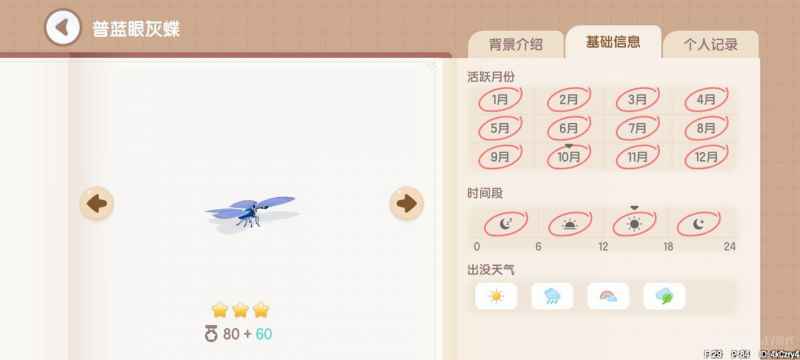 心动小镇捕虫图鉴位置全攻略