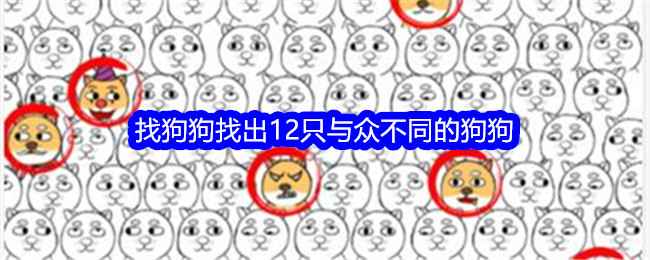 想不到鸭找狗狗通关全解析：12只不同狗狗的寻找技巧