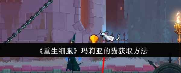 《重生细胞》玛莉亚的猫获取指南：指定地点互动解锁