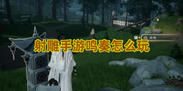 射雕手游鸣奏任务攻略：简单解谜步骤详解