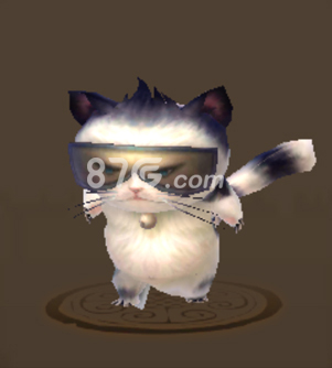 墨镜猫技能属性图鉴详解:新手友好型宠物评测