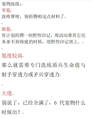 无尽冬日宠物培养全攻略：升级顺序与洗练心得