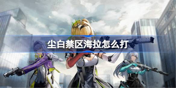 尘白禁区海拉打法全解析