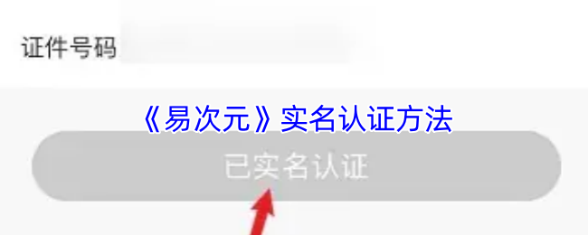 易次元实名认证全攻略