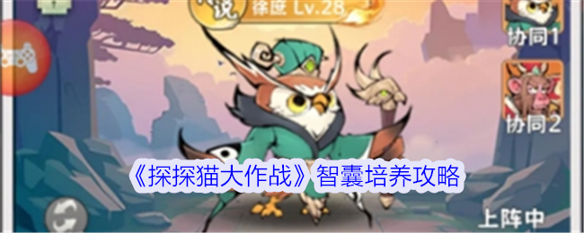 探探猫大作战智囊培养全攻略