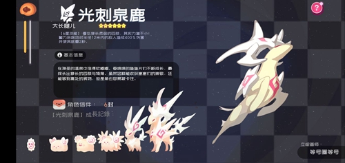 弹力果冻鱼鱼片图鉴详解：新手友好型宠物深度解析