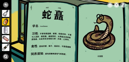 房间的秘密第三个房间柠檬和橘子位置全解析