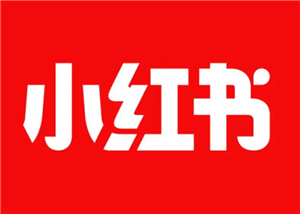 小红书起号全攻略：从注册到运营的实用技巧与心得