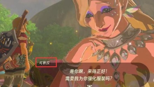 塞尔达传说王国之泪:大精灵之泉的位置、开启方法及费用详解