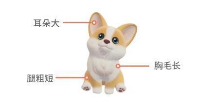 心动小镇柯基全图鉴：萌宠新皮肤大公开