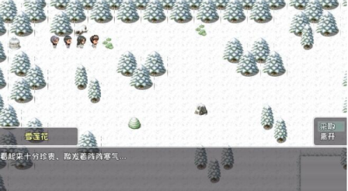 大千世界雪莲花获取全攻略:位置、采集与注意事项