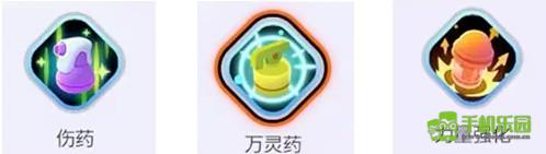 宝可梦大集结喷火龙玩法全攻略：技能加点、道具装备与实战心得