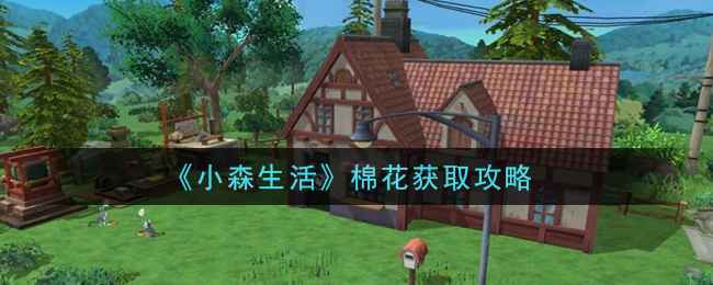 小森生活棉花怎么弄？到底有啥用？