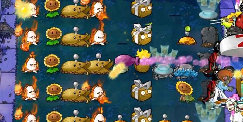 伪装向日葵的强大之处：高性价比的阳光生产者