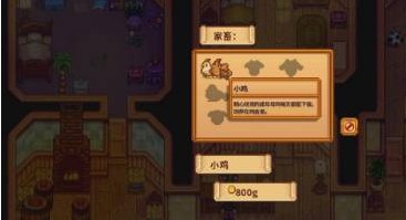 星露谷物语养鸡全攻略：从准备到日常照顾的详细指南