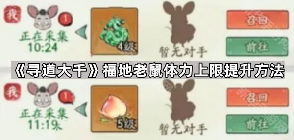 寻道大千：如何提升老鼠体力上限