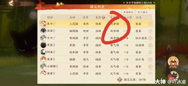 忘川风华录名士猫进化全攻略