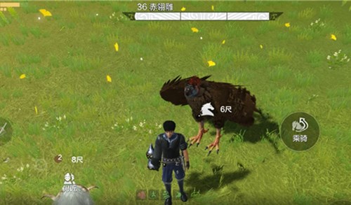 妄想山海宠物进化全攻略：吞噬进化的详细步骤与玩法技巧