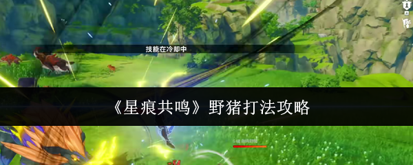 星痕共鸣野猪王打法攻略：新手必看，教你如何击败硬骨头Boss
