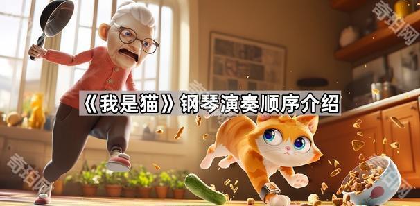 我是猫钢琴怎么弹？《我是猫》钢琴演奏顺序全解析