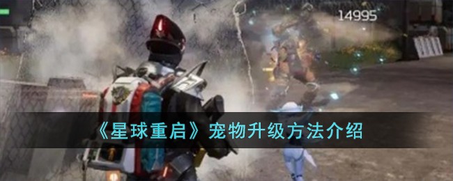 星球重启宠物升级全攻略