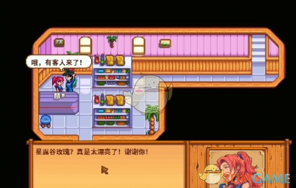 星露谷物语海盗妻子的任务攻略：如何帮助贝啼找回纪念品