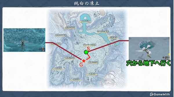 宝可梦传说阿尔宙斯伊布进化条件与步骤详解