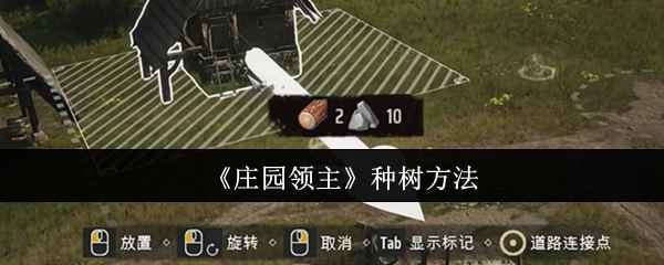 庄园领主怎么种树-种树方法